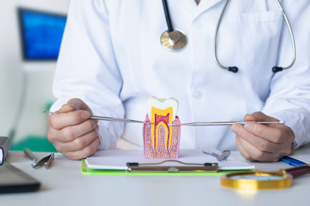 Best Emergency Dental Care for Broken or Chipped Teeth in Moody, AL